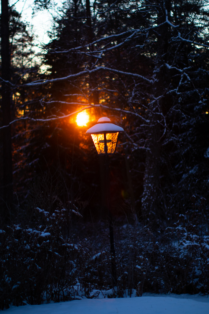 Narnia - Lyktstolpen i Narnia | photobymj.se